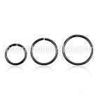 cpsel20 seamless segment rings silver 925 ear lobe