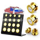 dapg100 plugs gauges anodized surgical steel 316l ear lobe