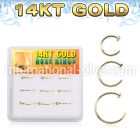 dg14nh3 nose hoop gold nose