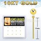 dgiys5 box w 12 10kt gold bend it nose studs w 1.5mm ball tops