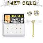 dgnb11 nose bone gold nose