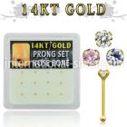 dgnb4 nose bone gold nose