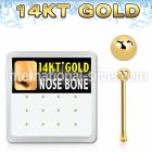 dgnb5 nose bone gold nose