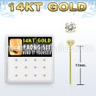 dgys19 bio flex ptfe bend it yourself nose studs nose piercing