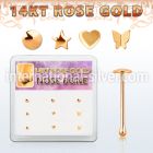 drnb9 nose bone gold nose