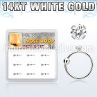 dw14nh4 nose hoop gold nose