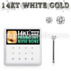 dwnb11 box w 14kt white gold nose bone w prong set 1.5 2mm cz