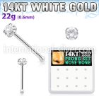 dwnb1 nose bone gold nose