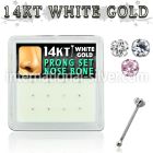 dwnb7 nose bone gold nose