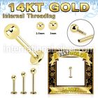 glbbi 14 karat yellow gold labret stud 16g ball top internal