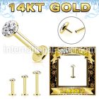 glbfr 14 k gold labret stud threadless push top flat ferido