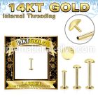 glbrdi 14 karat gold labret stud 16g round top internal