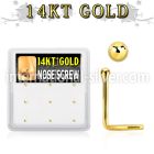 gsc3x box w 14kt gold nose screws, 20g w 1.5mm ball shaped top