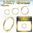 gsegh18 14 karat yellow gold hinged segment hoop 18g