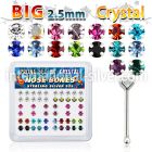 nbp19mx nose bone silver 925 nose