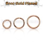 rssel16 seamless segment rings silver 925 nose