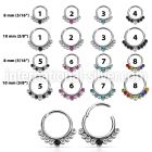 segh16px seamless segment rings surgical steel 316l ear lobe