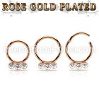 seghr16f anodized surgical steel seamless and segment rings ear othersear lobe ear otherseyebrow helix intim septum piercing