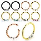 seght16e anodized surgical steel seamless and segment rings ear othersear lobe ear otherseyebrow helix intim septum piercing