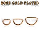 selttd16 seamless   segment rings anodized surgical steel 316l nose