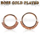 septtn seamless   segment rings anodized surgical steel 316l septum