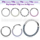sgsh11 surgical steel segment ring cz stones at side