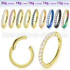 sgtsh10 anodized surgical steel segment ring cz stones