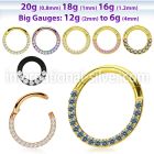 sgtsh11 anodized surgical steel segment ring cz stones side