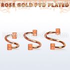 spettdi spirals twisters anodized surgical steel 316l eyebrow