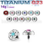 tafr5b dermals titanium g23 implant grade belly button