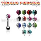 trg7e straight barbells surgical steel 316l tragus