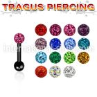 trgt7 straight barbells anodized surgical steel 316l tragus