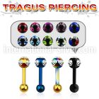 trgt9 straight barbells anodized surgical steel 316l 