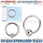ublk489 hoops captive rings titanium g23 implant grade ear lobe