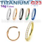 usgtsh10 titanium hinged segment hoop 16g cnc pave set cz