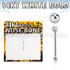 wnbb1 nose bone gold nose
