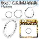 wsegh16 14 karat white gold hinged segment hoop 16g