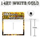 wysht1 bend it to fit nose studs gold nose