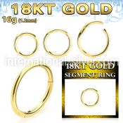 ggsegh16 18 karat yellow gold hinged segment hoop 16g