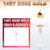 rbist labrets lip rings gold labrets chin