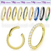 sgtsh10 anodized surgical steel segment ring cz stones