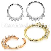 sgsh29 pvd plated steel hinged segment ring facing cnc cz