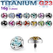 tafr5d dermals titanium g23 implant grade surface piercings