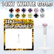 wgbizm labrets lip rings bioflex ptfe labrets chin