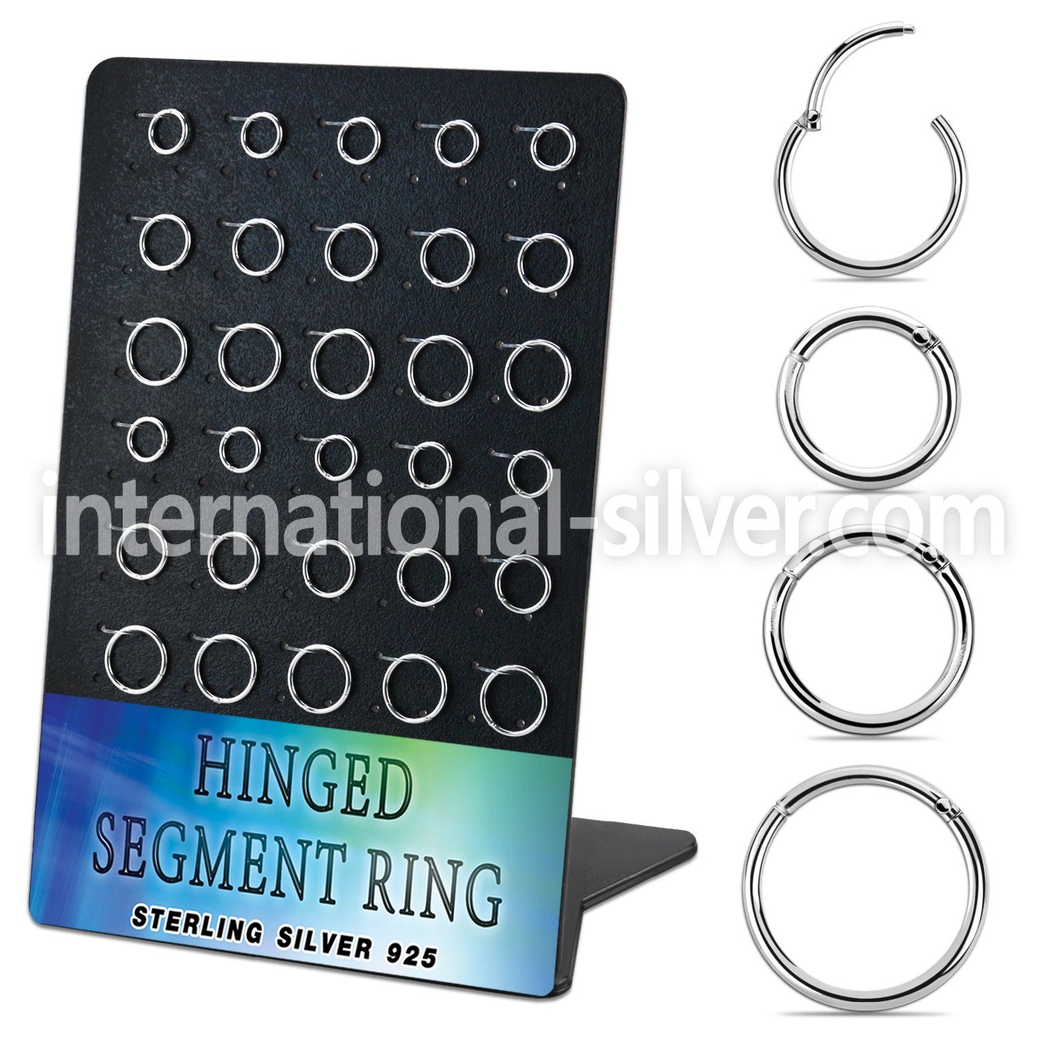 brvsegh1 925 silver seamless and segment rings ear othersear lobe ear othersseptum piercing