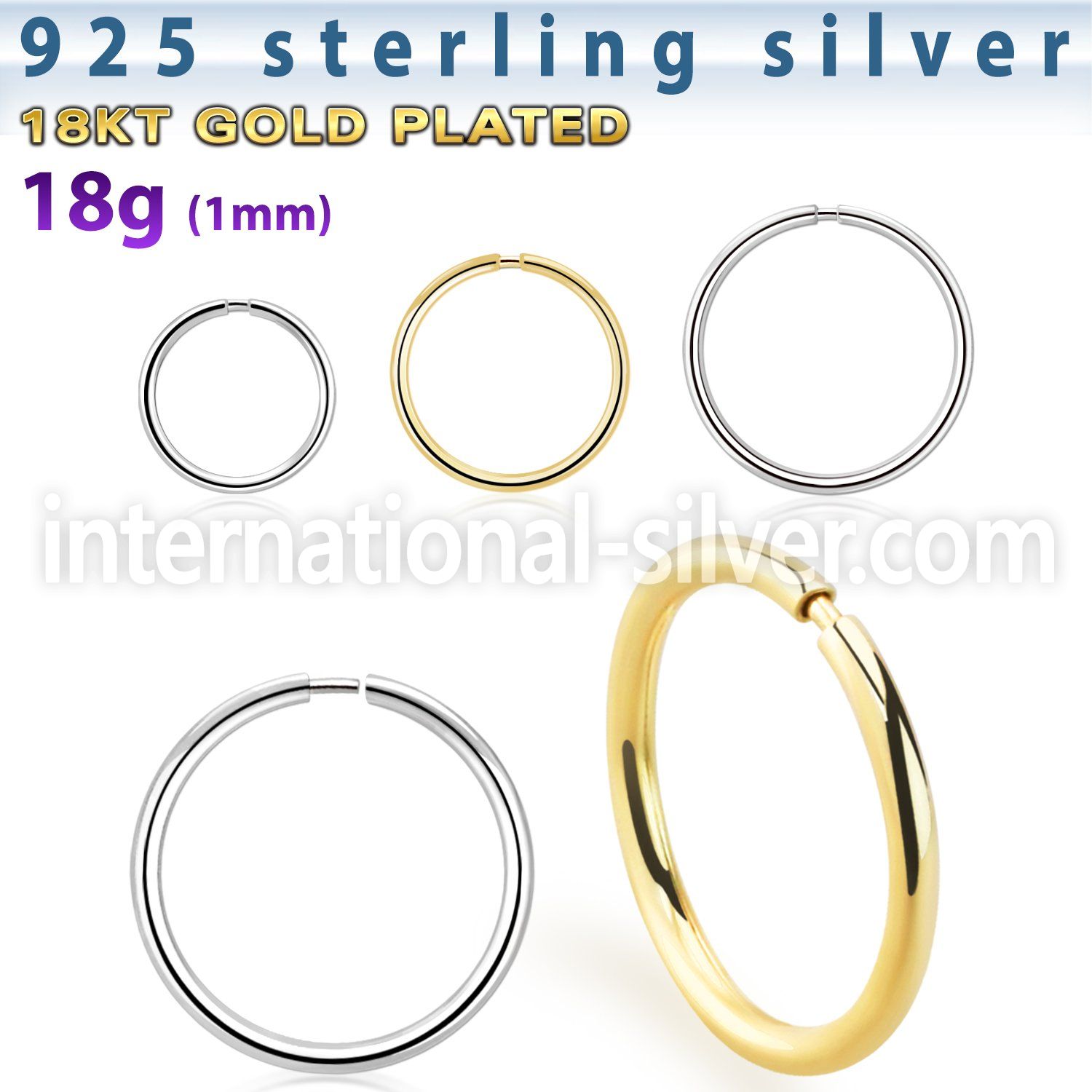 nr31 seamless segment rings silver 925 nose