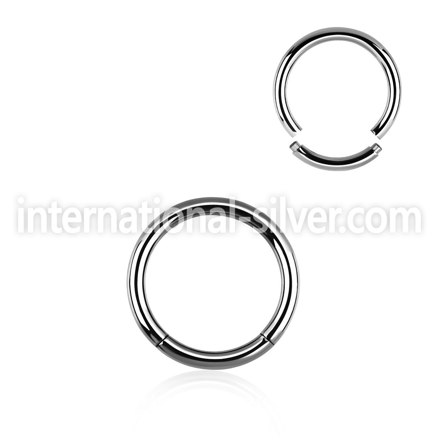 seg12 seamless segment rings surgical steel 316l ear lobe