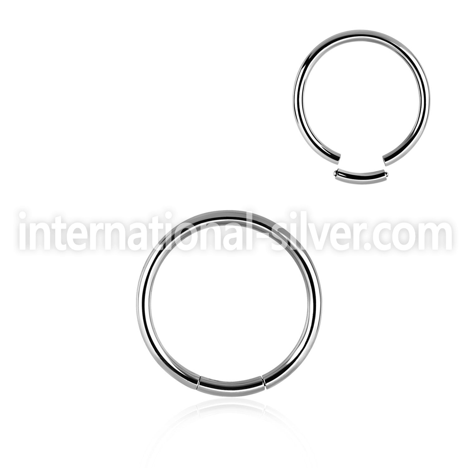 seg14 seamless segment rings surgical steel 316l ear lobe