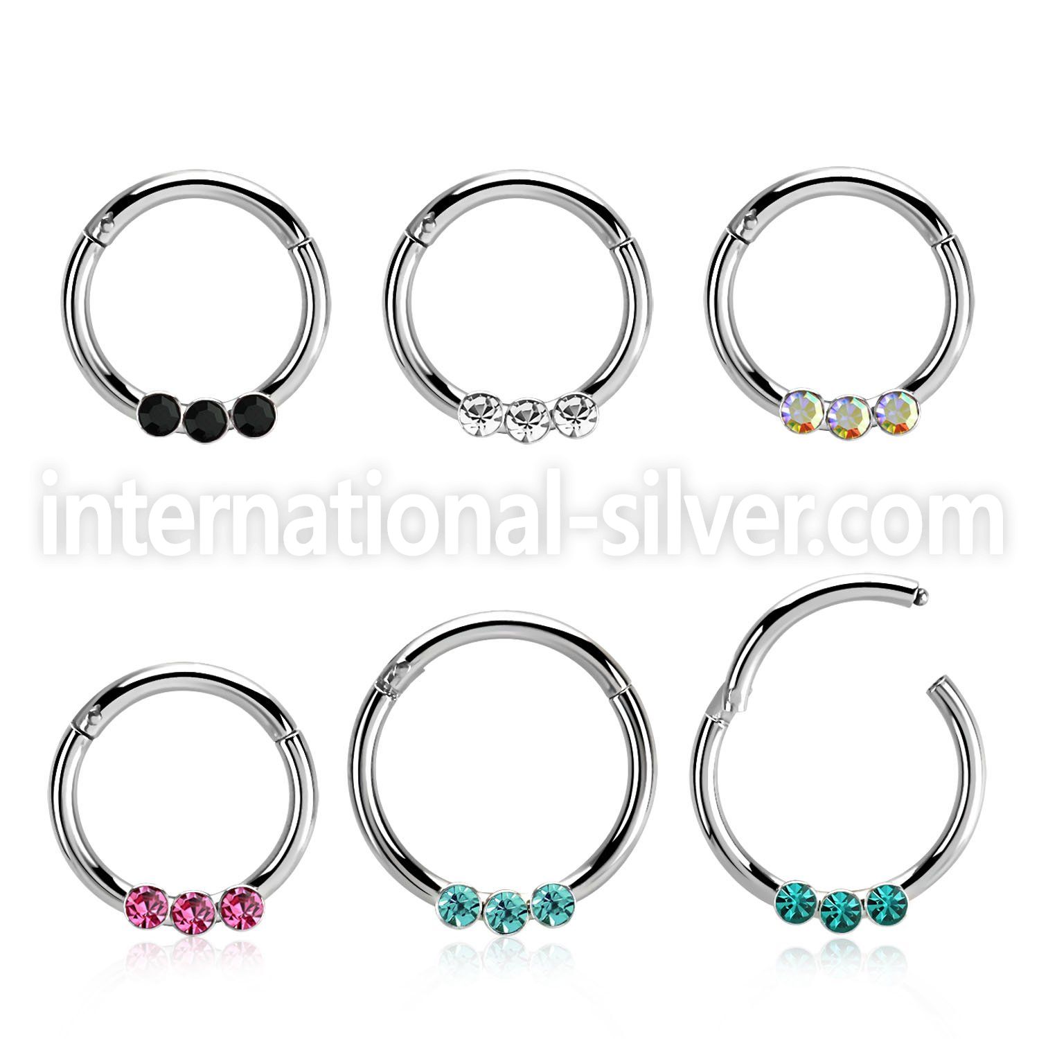 segh16e surgical steel seamless and segment rings ear otherseyebrow helix septum piercing