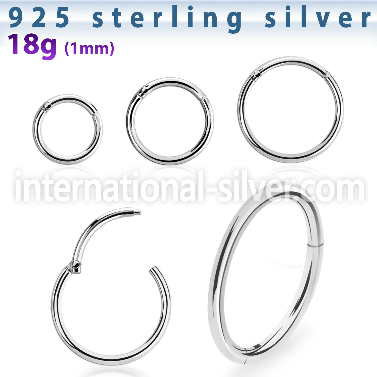 vsegh18 925 silver seamless and segment rings ear othersear lobe ear othersseptum tongue tragus piercing